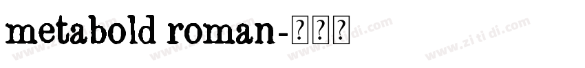 metabold roman字体转换